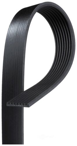 MICRO-V SERPENTINE BELT 8 RIB K080952