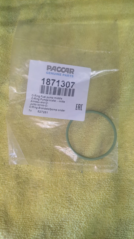 O RING FUEL PUMP MIDDLE 1871307PE